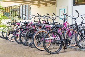 自転車