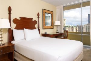 スカイビュー（一例）