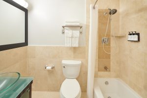 ラグジュアリー・1ベッドルームスイート（一例）